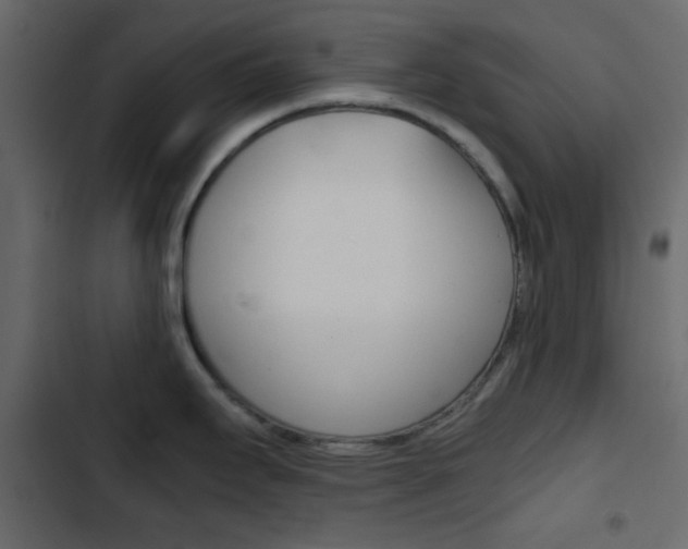 X0000103901295200809191046