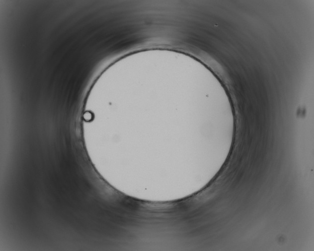 X0000103901296200809191046