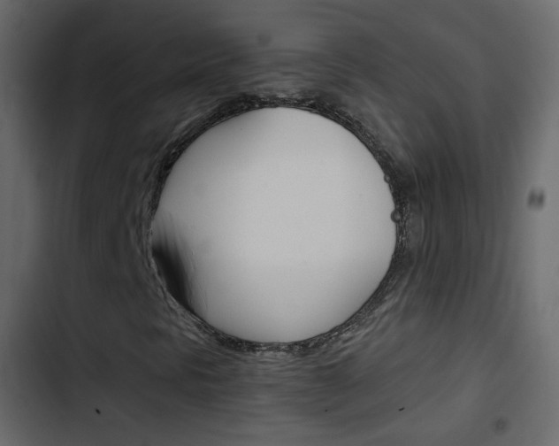 X0000103901297200809191046