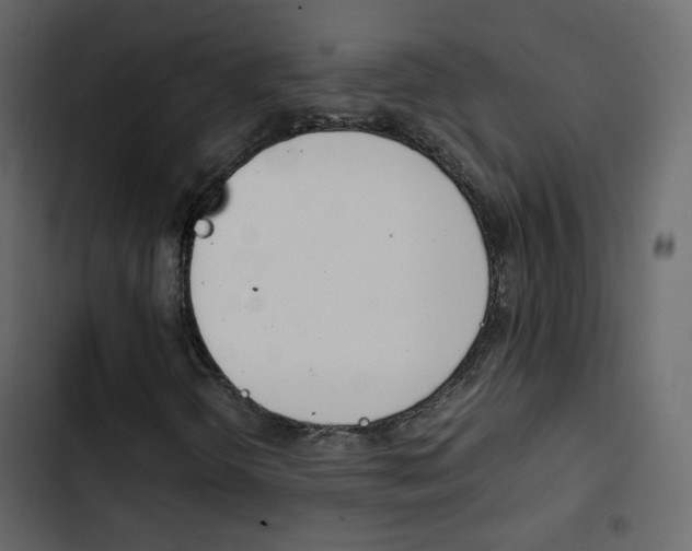 X0000103901298200809191046