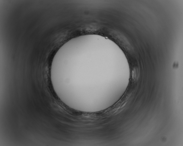 X0000103901299200809191046