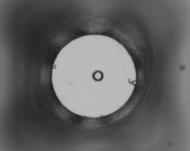 X0000103901300200809191046