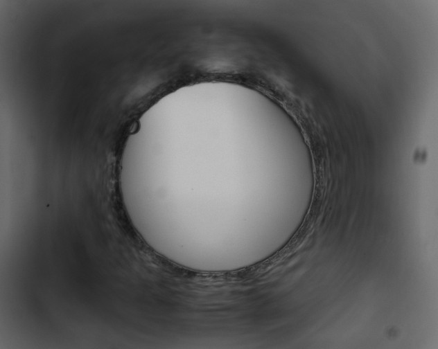 X0000103901301200809191046