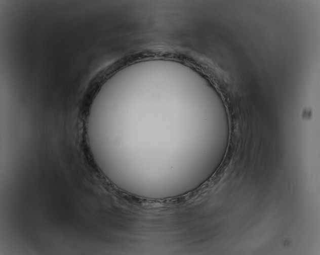 X0000103901302200809191046