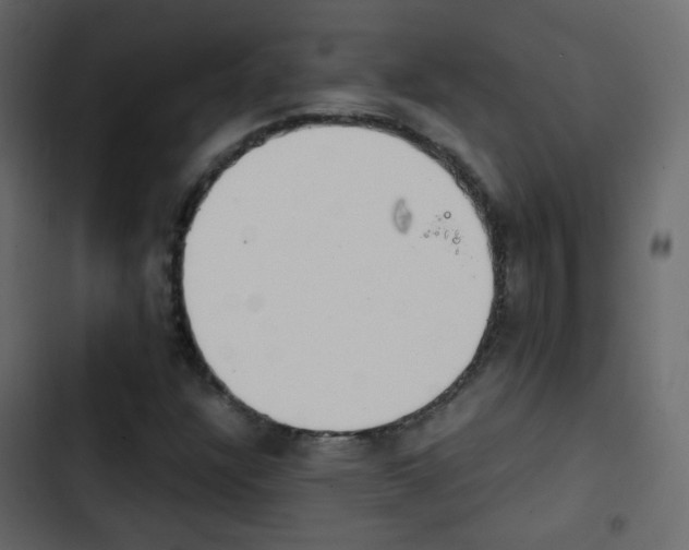 X0000103901304200809191046