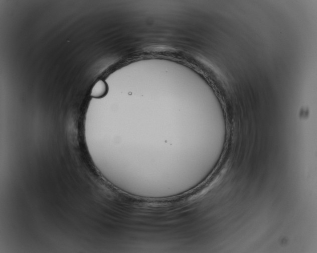 X0000103901305200809191046
