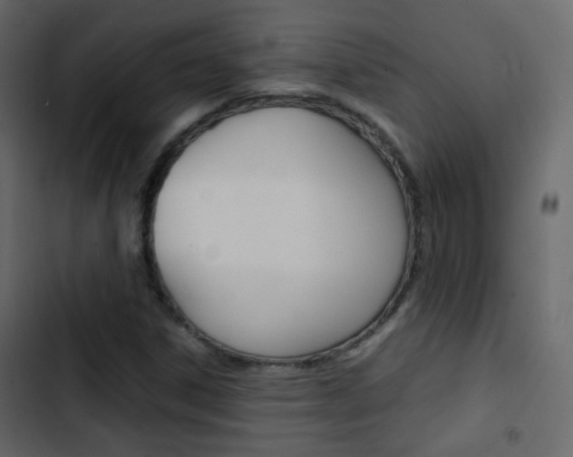X0000103901306200809191046