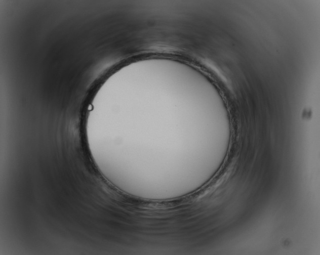X0000103901307200809191046