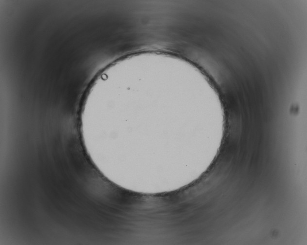 X0000103901308200809191046