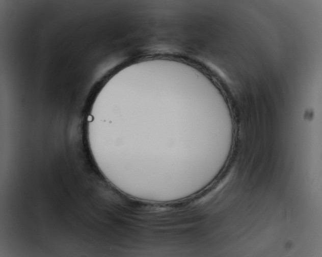 X0000103901309200809191046