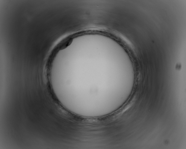 X0000103901310200809191046