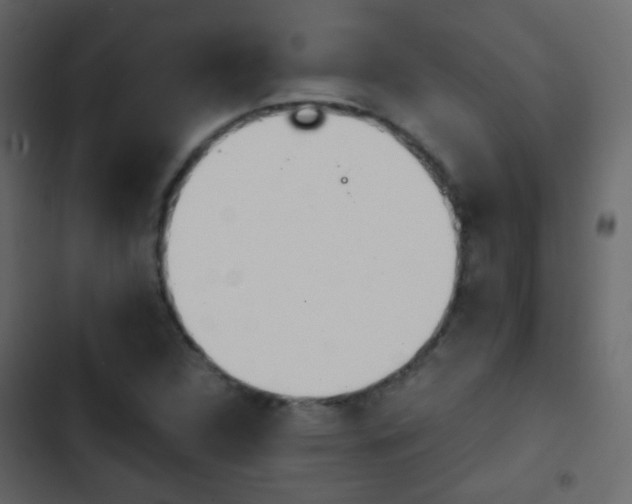 X0000103901312200809191046