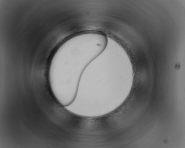 X0000103901314200809191046