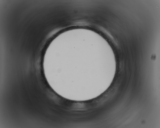 X0000103901315200809191046