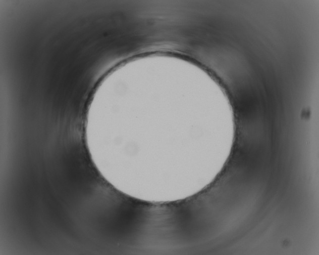 X0000103901316200809191046