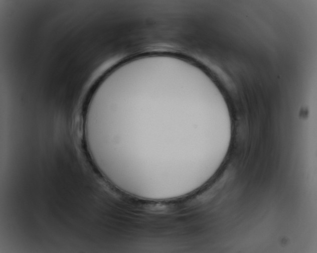 X0000103901317200809191046