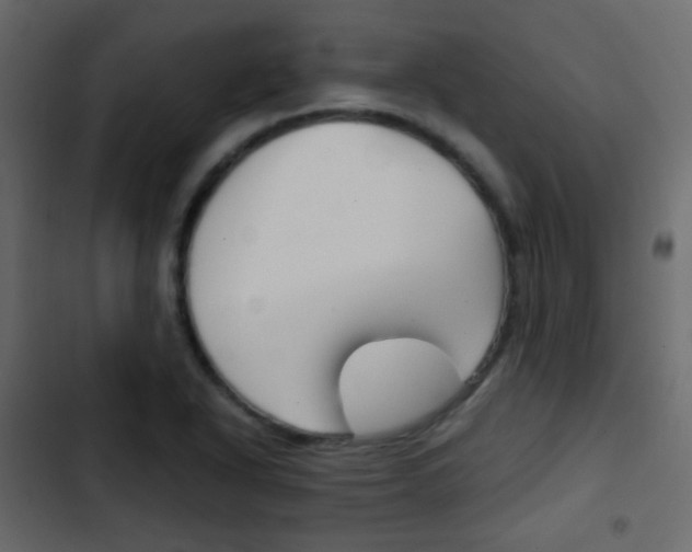 X0000103901318200809191046
