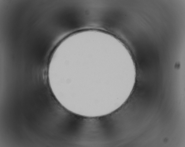 X0000103901320200809191046