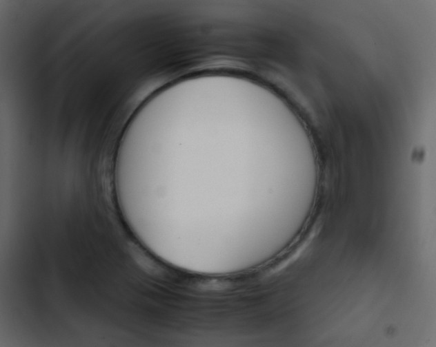 X0000103901321200809191046