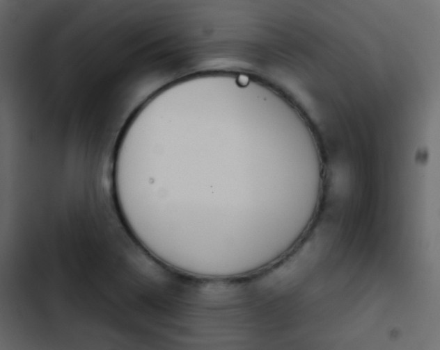 X0000103901322200809191046