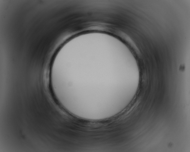 X0000103901323200809191046
