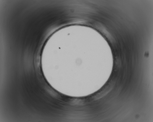 X0000103901324200809191046