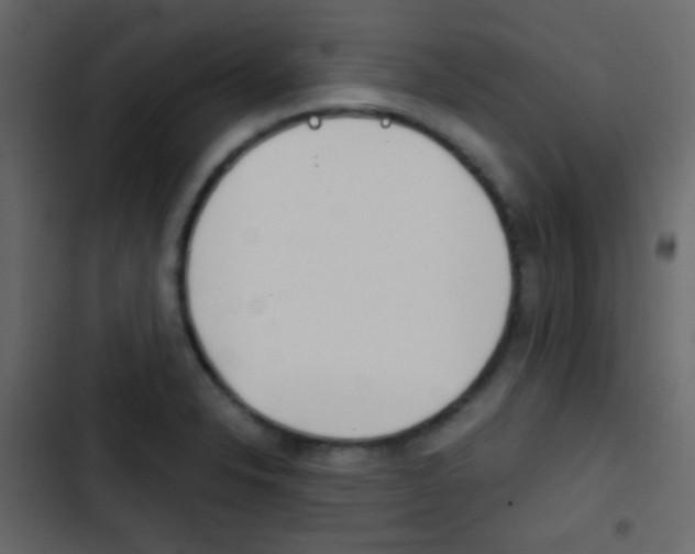 X0000103901326200809191046