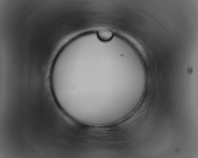 X0000103901327200809191046