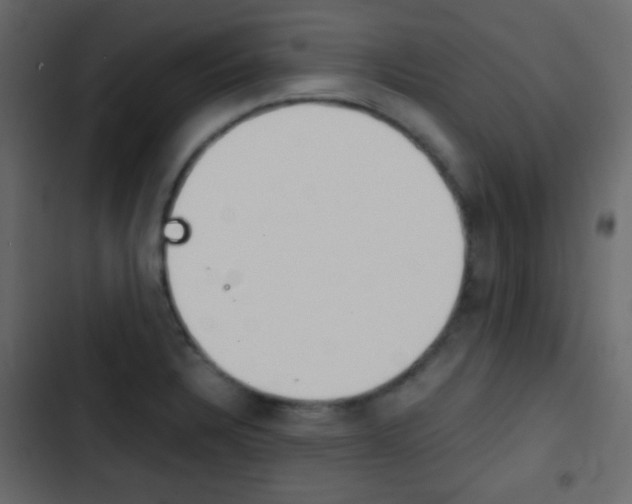 X0000103901328200809191046
