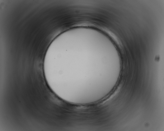 X0000103901329200809191046