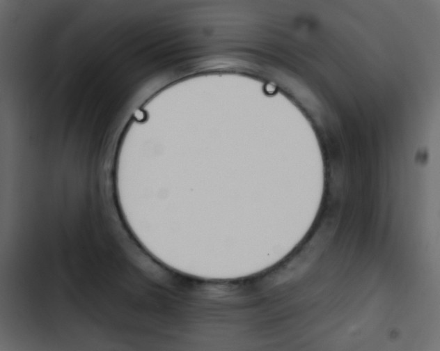 X0000103901330200809191046