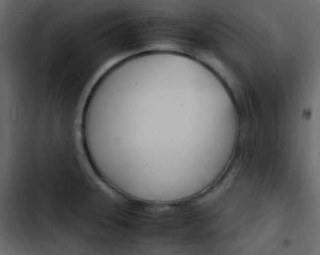 X0000103901331200809191046