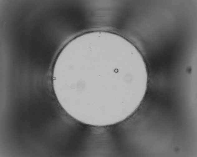 X0000103901332200809191046