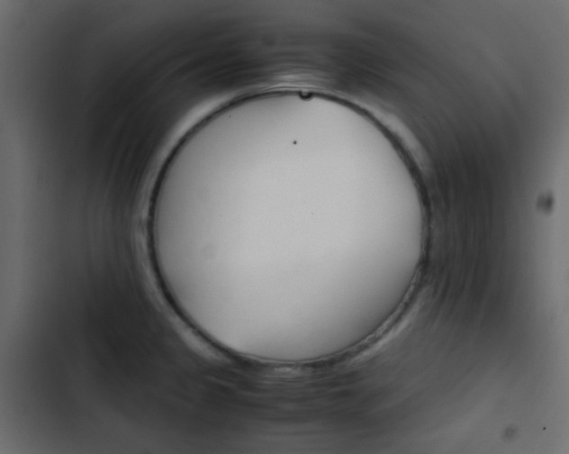 X0000103901333200809191046