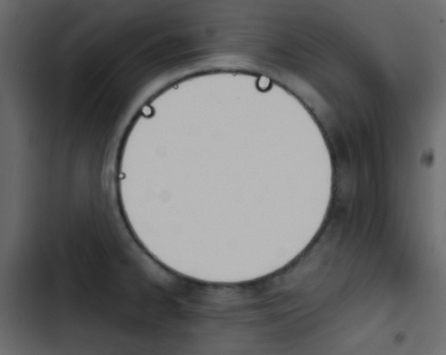 X0000103901334200809191046