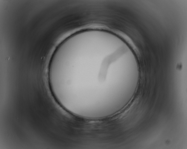 X0000103901335200809191046