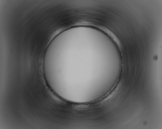X0000103901337200809191046