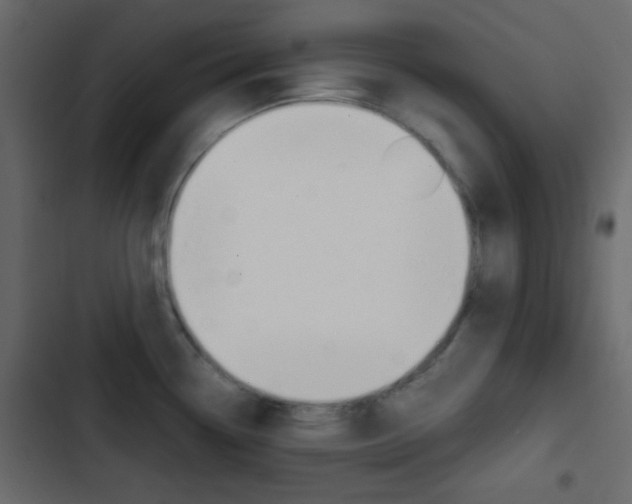 X0000103901338200809191046