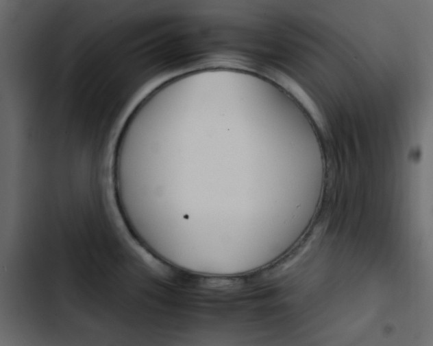 X0000103901339200809191046