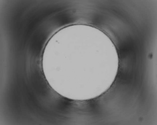 X0000103901340200809191046