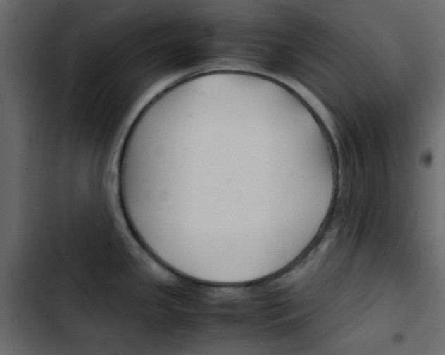 X0000103901341200809191046
