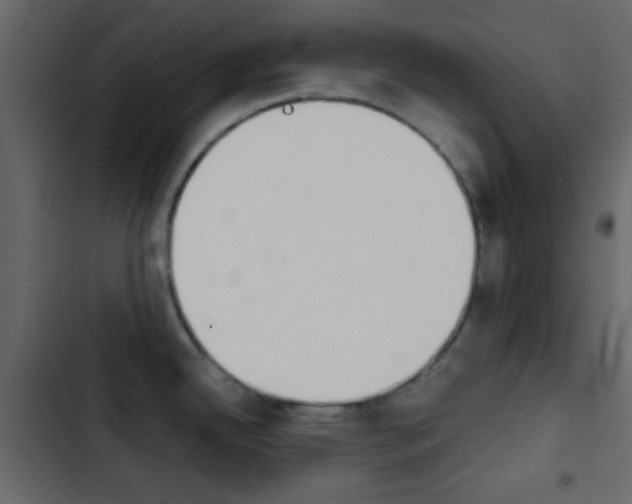 X0000103901342200809191046
