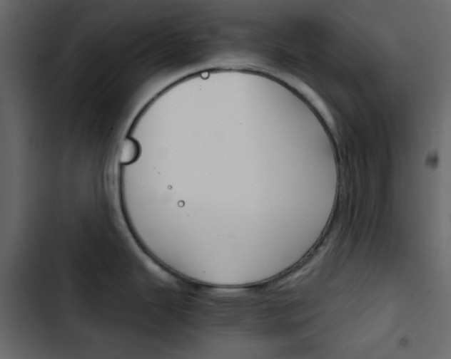 X0000103901343200809191046