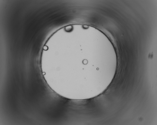 X0000103901344200809191046