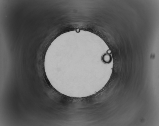 X0000103901345200809191046