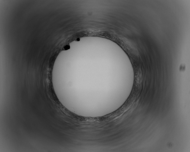 X0000103901346200809191045