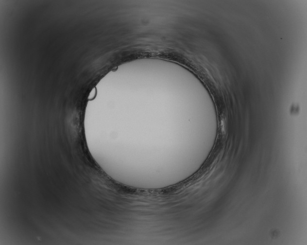 X0000103901347200809191045