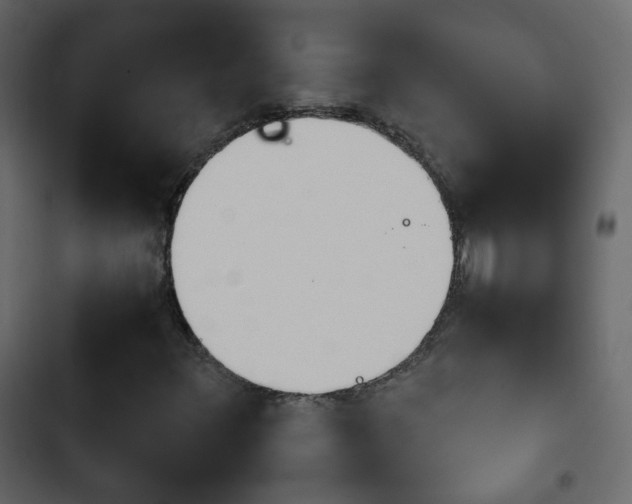 X0000103901348200809191045