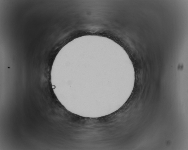 X0000103901349200809191045