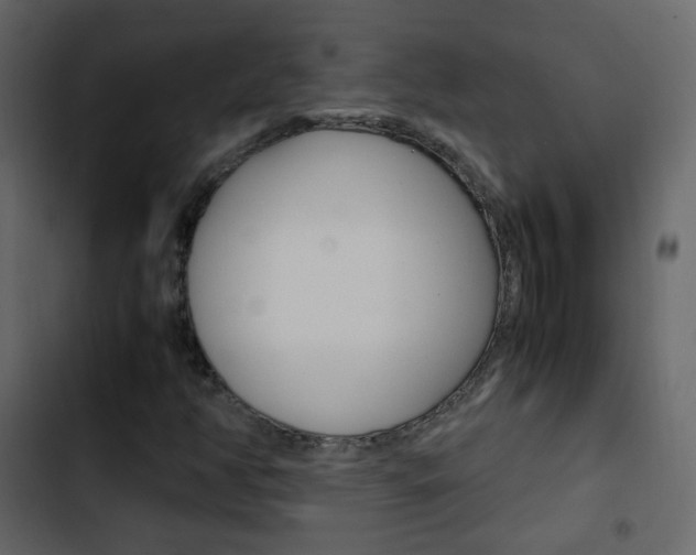 X0000103901350200809191045